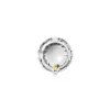 Miele Microfine Filter